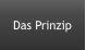 Das Prinzip