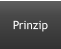 Prinzip