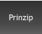 Prinzip